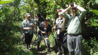 Existe un mercado de 2.4 millones de observadores de aves interesados en el Per&uacute;