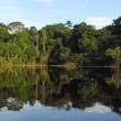 Iquitos se prepara para recibir a miles de visitantes en el pr&oacute;ximo feriado - 