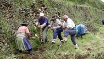 Sierra y Selva Exportadora gener&oacute; m&aacute;s de 214 000 empleos entre 2011 y 2016