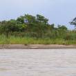 R&iacute;o Napo incrementa ligeramente su nivel y sigue en alerta naranja - 