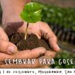 Poder Judicial realizar&aacute; en Moyobamba taller sobre justicia ambiental el 31 de agosto y 1 de setiembre - 