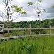 BONOS DE CARBONO: El millonario esquema offshore en la Amazon&iacute;a peruana - 