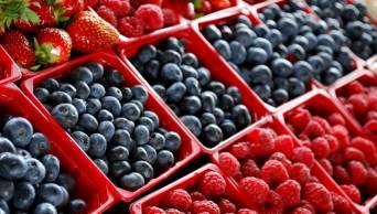 Sierra y Selva Exportadora organiza �VIII Seminario Internacional de Berries� en Lima y en 3 regiones del sur del pa&iacute;s