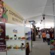 Ucayali inicia preparativos para organizar la ExpoAmaz&oacute;nica 2018 - 