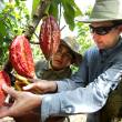 Alcaldes peruanos promover&aacute;n caf&eacute; y cacao en Congreso de Estados Unidos - 