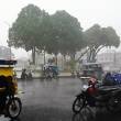 Lluvias intensas se presentar&aacute;n desde esta noche en 10 regiones de la selva - 