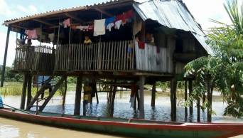 Nivel del r&iacute;o Huallaga aument&oacute;, reporta estaci&oacute;n Tingo Mar&iacute;a