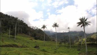 Gobierno garantiza respeto a pueblos ind&iacute;genas y conservaci&oacute;n de &aacute;reas naturales