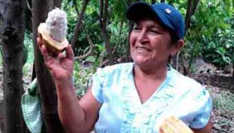 Cooperativa presente en 6 regiones posiciona caf&eacute;, cacao y panela peruana en el mundo