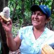 Cooperativa presente en 6 regiones posiciona caf&eacute;, cacao y panela peruana en el mundo - 