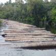 Marina de Guerra detecta en Ucayali 800 trozas de madera ilegal - 