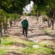 ONU designa a Per&uacute; como sede regional del D&iacute;a Mundial del Medio Ambiente - 