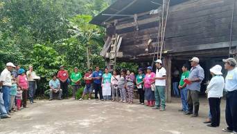 M&aacute;s de 400 familias de Satipo se benefician con producci&oacute;n de cacao org&aacute;nico