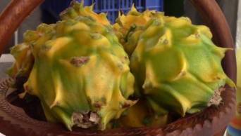 Conozca a la pitajaya y rambut&aacute;n los frutos ex&oacute;ticos de exportaci&oacute;n de la Selva Central
