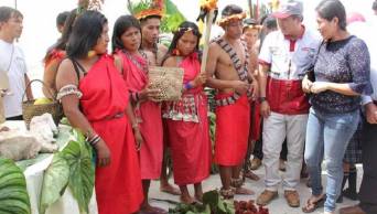 Con tecnolog&iacute;as de Noa Jayatai 400 familias de Amazonas mejoran econom&iacute;a
