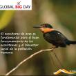 GLOBAL BIG DAY: En estas &aacute;reas naturales protegidas puedes observar aves singulares - 