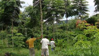 Uni&oacute;n Europea renueva compromiso para el desarrollo de Amazon&iacute;a