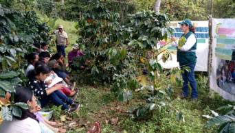 Capacitan a caficultores de Ucayali en manejo integrado de plagas