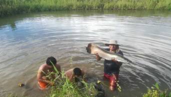 Capacitan a usuarios de Noa Jayatai en crianza de peces amaz&oacute;nicos - Hu&aacute;nuco