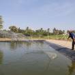 Sepa qu&eacute; especies impulsar&aacute;n la producci&oacute;n del sector acu&iacute;cola este a&ntilde;o - 