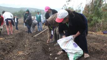 MEF: peque&ntilde;os agricultores no asumir&aacute;n costo de IGV en pr&eacute;stamos de Mi Agro - www.mef.gob.pe