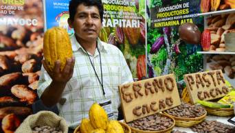 Promover&aacute;n consumo de chocolate con mayor contenido de cacao