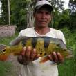Oxapampa trabajar&aacute; por pesca sostenible en Puerto Berm&uacute;dez - 