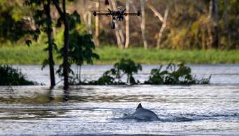 Los drones al servicio de la preservaci&oacute;n de los delfines del Amazonas