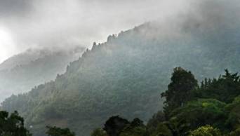 Temperatura en la selva descender&aacute; hasta 13 grados por friaje