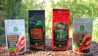 Exportaci&oacute;n de caf&eacute; del Bosque de Protecci&oacute;n Alto Mayo creci&oacute; 10 veces en &uacute;ltimos 3 a&ntilde;os