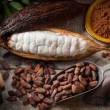 Crean comit&eacute; t&eacute;cnico para evaluar impacto de norma europea sobre cadmio en cacao - 