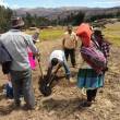 PBI agropecuario crecer&aacute; 4% este a&ntilde;o impulsado por agroexportaciones - 
