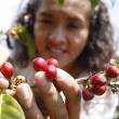 &iquest;C&oacute;mo convertir a la selva en plataforma agroexportadora? - 