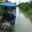 Lluvias ligeras a moderadas afectar&iacute;an selva sur hasta la medianoche - 