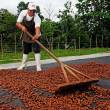 Estas son las �reas Naturales Protegidas que producen el mejor cacao del Per&uacute; - 