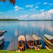Conoce los atractivos que deleitan a los que visitan Pucallpa - 