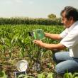 Con sensores remotos medir&aacute;n calidad de los suelos agr&iacute;colas - 