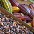 Cacao peruano despierta el inter&eacute;s de importadores alemanes - 