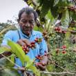 Exportaciones agrarias superaron los US$ 5,400 millones a octubre - 