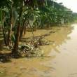 Gobierno eval&uacute;a bonos y cr&eacute;ditos para agricultores afectados por naturaleza - 