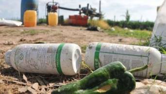 Recolectan envases de agroqu&iacute;micos para evitar contaminaci&oacute;n en San Mart&iacute;n