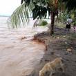 Alertan por el incremento del nivel del r&iacute;o Huallaga en regi&oacute;n San Mart&iacute;n - 