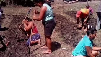 Madres siembran hortalizas para mejorar alimentaci&oacute;n de sus familias en Picota, regi&oacute;n San Mart&iacute;n