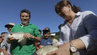 Devida impulsar&aacute; piscicultura en Uchiza - San Mart&iacute;n