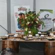 Regi&oacute;n San Mart&iacute;n presenta feria gastron&oacute;mica �Sabor a Selva� - 