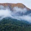 As&iacute; celebr&oacute; el Bosque de Protecci&oacute;n Alto Mayo su aniversario de creaci&oacute;n - 