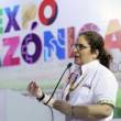 EXPOAMAZ�NICA 2019: Minam valora los recursos de la Amazonia para evitar la deforestaci&oacute;n - 