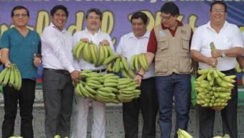 Devida propone recuperar el tiempo perdido con los agricultores plataneros de Ucayali