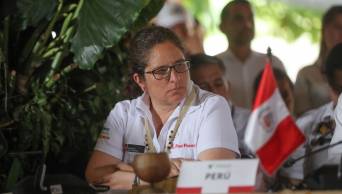Pacto de Leticia por la Amazon&iacute;a dar&aacute; hitos e indicadores que llevar&aacute;n a resultados