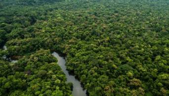 Loreto es el departamento con mayor zonificaci&oacute;n forestal del pa&iacute;s